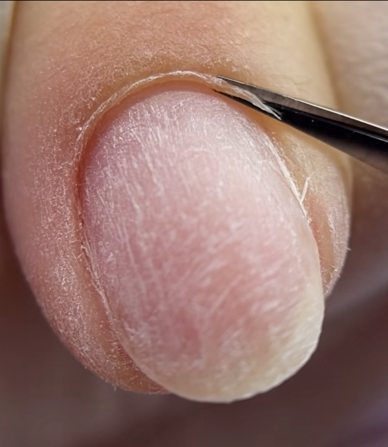 Professional Russian Cuticle Scissors