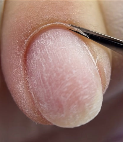 Professional Russian Cuticle Scissors